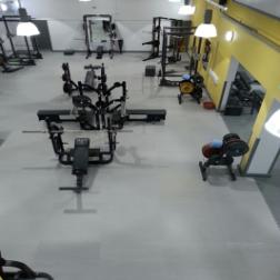 Free Weights Area