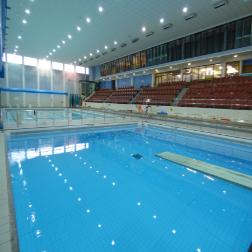 Diving Pool Bank Image